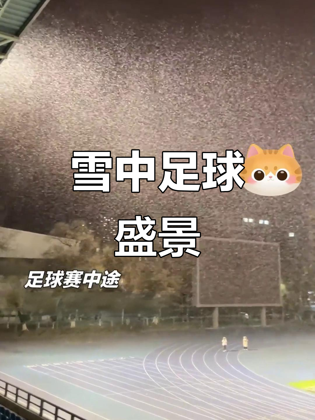 锐不可当首场状态出色，中国队观众沸腾！，Ming重返赛场气势如虹延续